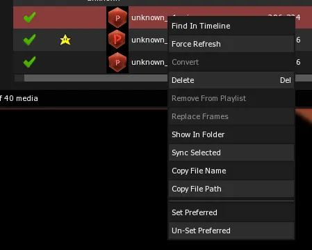 The File Manager contextual menu on a versioned file, with Set Preferred and Un-Set Preferred at the bottom.