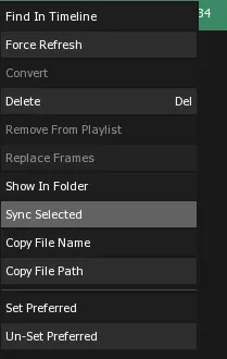 The Media Files List contextual menu, with Sync Selected highlighted to send the file to every server for reconversion.