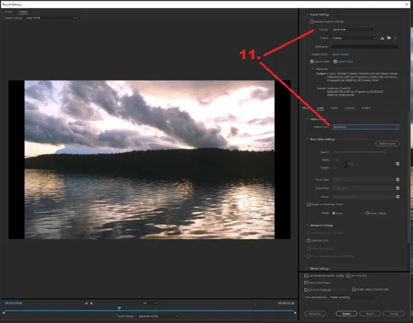The Premiere Export Settings dialog, Video tab, with Format set to QuickTime and Video Codec set to Animation.