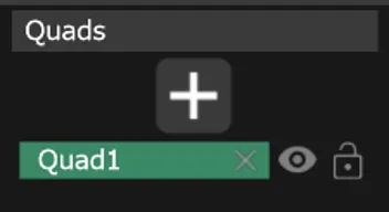 The Quads section, with the + button and the new Quad1 entry listed below it.