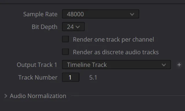 The Audio tab of the Deliver page render settings, with Output Track 1 set to Timeline Track and 5.1 shown next to Track Number.