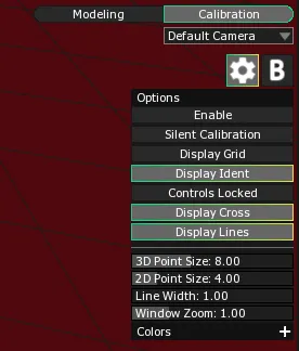The 3D Scene Settings panel in Calibration mode, with the Display Ident toggle enabled in its Options list.